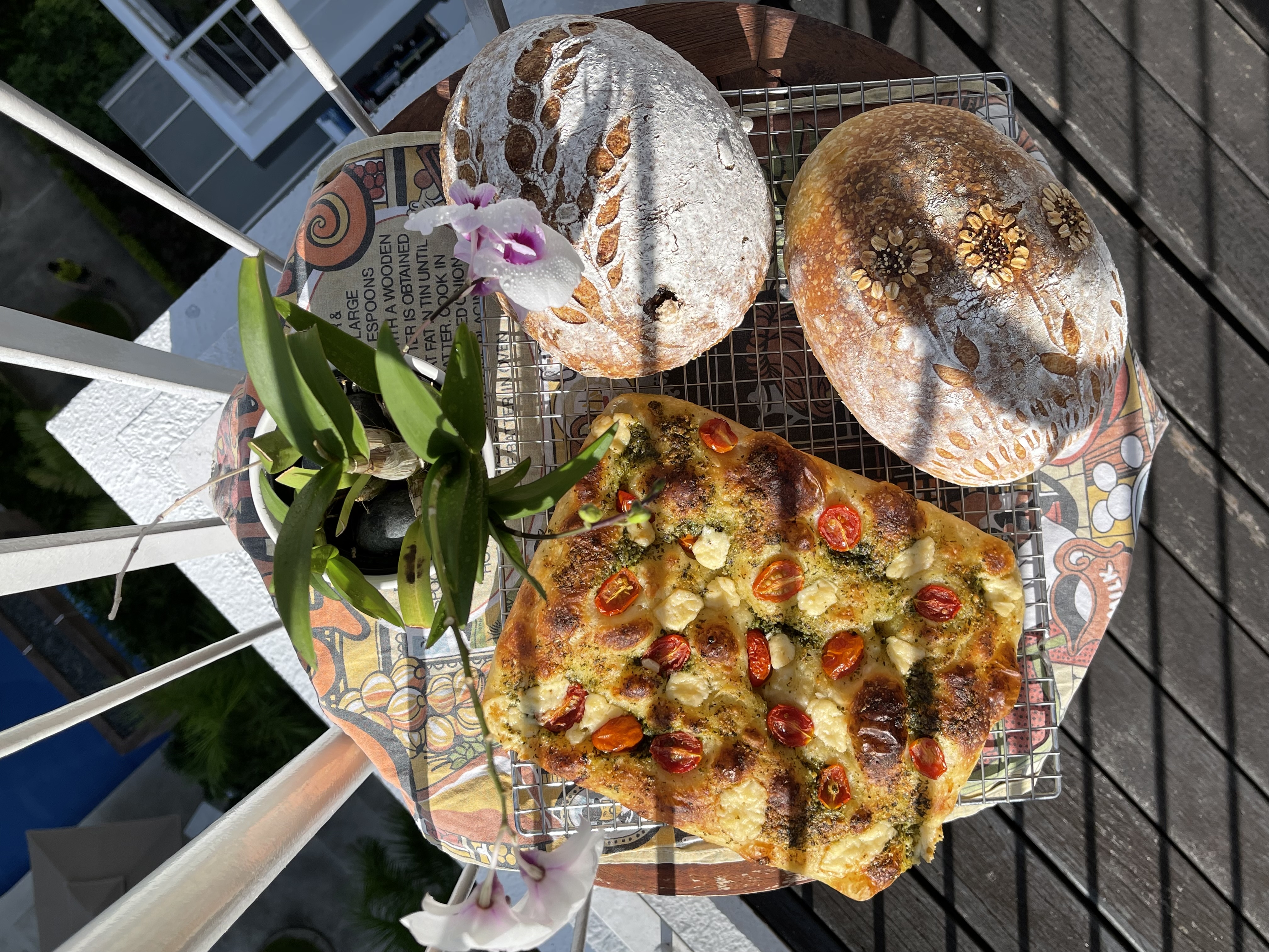 Image Meow Bakes Sour — Home Sourdough & Focaccia in Kovan