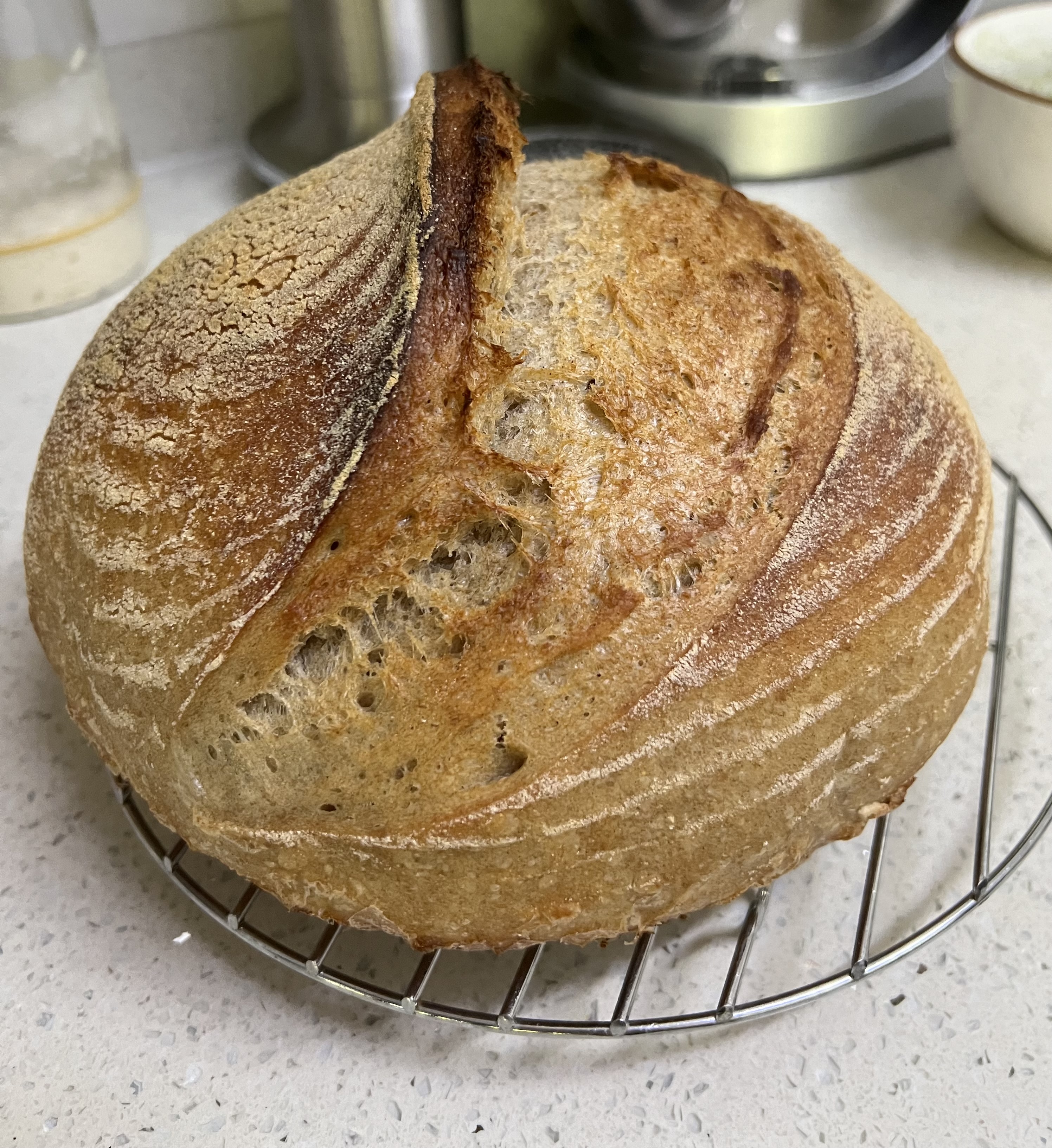 Image the good loaf — Made-to-Order Home Sourdough in Bukit Timah